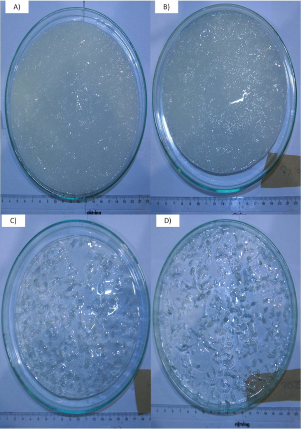 Petri dish gelation diagram; hydrogel formation stages; polymerization analysis; experimental setup.