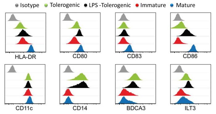 figure-results-3 Flow cytometry chart displays protein expression in immune cells; includes HLA-DR, CD80-86 markers.