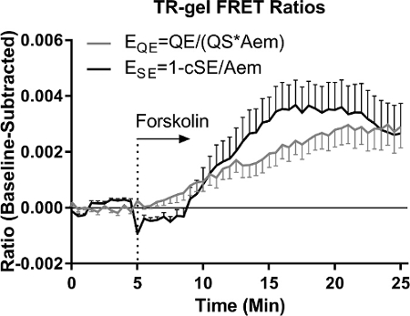 TR-gel FRET ratio graph; EQE, ESE formulas; measuring forskolin reaction over time; error bars.