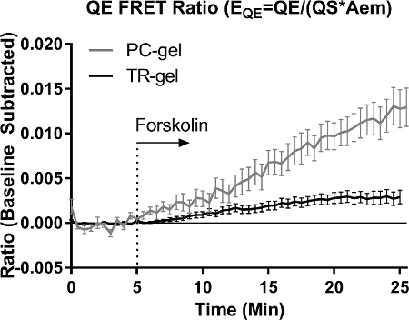 QE FRET ratio graph; PC-gel vs. TR-gel; forskolin-induced ratio change over time, equation shown.