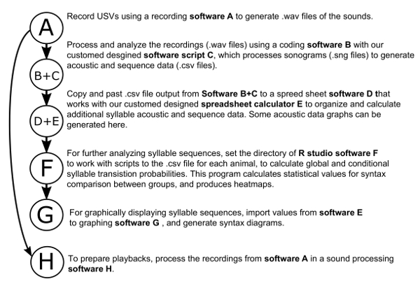 figure-results-1 超声波发声(USVs)音频分析流程图:录制、处理、统计分析、回放。