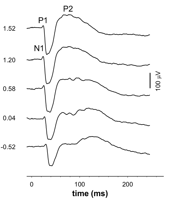 figure-results-3 Neuroscience EEG graph showing P1, N1, P2 peaks over time (ms) in microvolts (µV), data analysis.