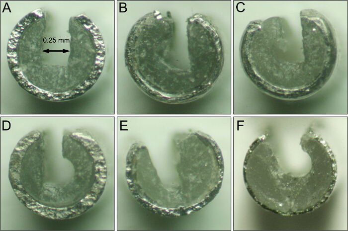 Cross-section analysis of deformed metal rings illustrating structural changes, microscopy experiment.