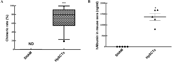 Chimeric rate and hAlbumin data; box plot; SHAM vs HpsCTX; research results; biological analysis.