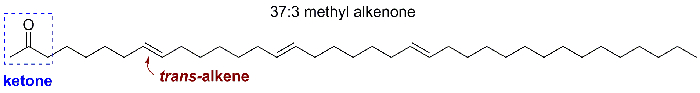 figure-introduction-1 Molecular structure of 37:3 methyl alkenone; ketone group, trans-alkene; organic chemistry diagram.