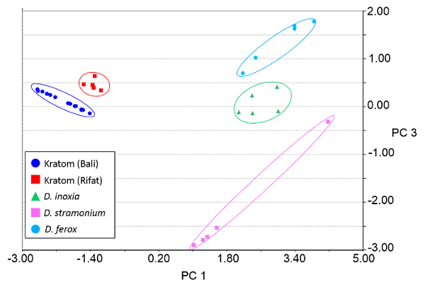 Principal Component Analysis (PCA) chart showing clustering of different Kratom and Datura species.