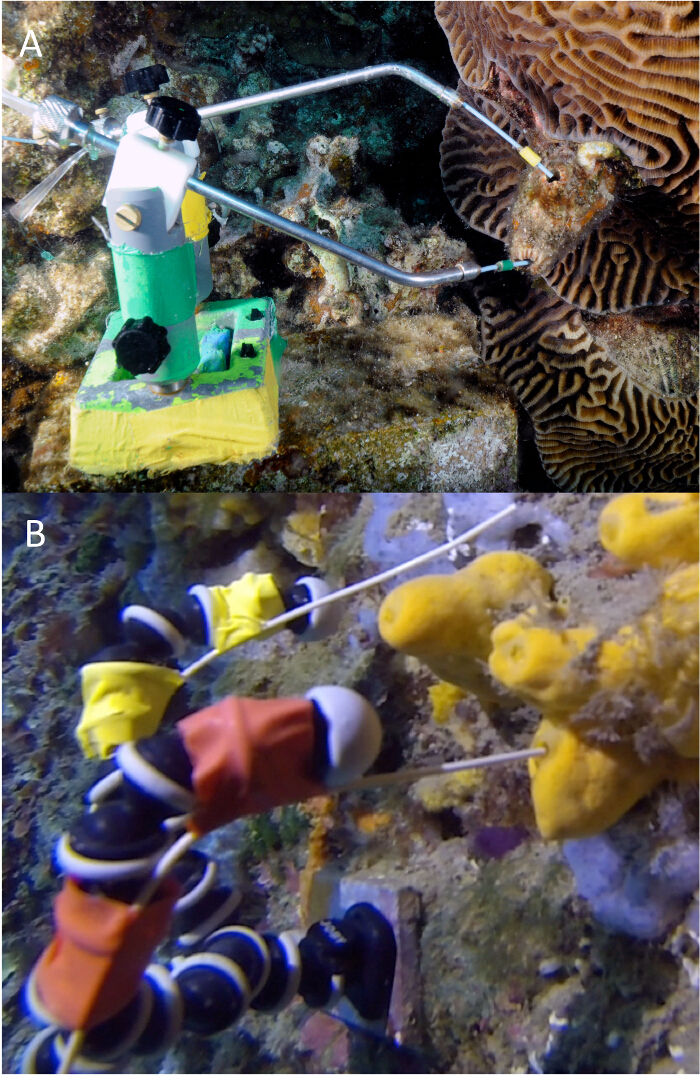 Underwater research experiment setup for coral study, with specialized tools on coral reef.