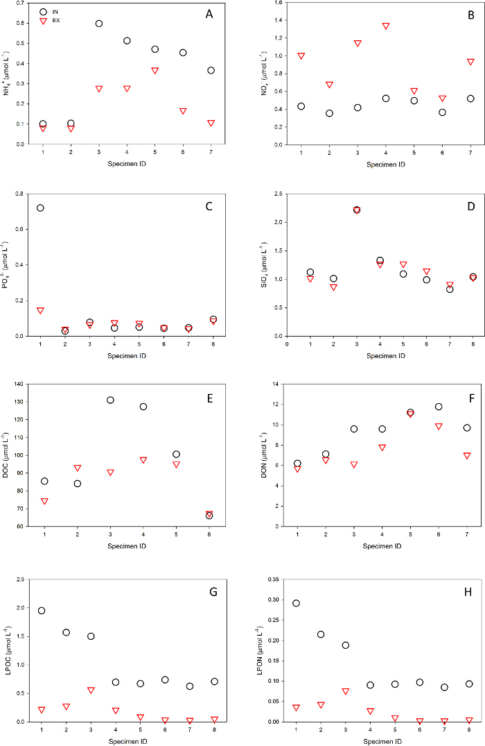 figure-results-5 Nutrient concentration graphs; NH₄⁺, NO₃⁻, PO₄³⁻, SiO₂, DOC, DON, POC, PON by specimen ID.