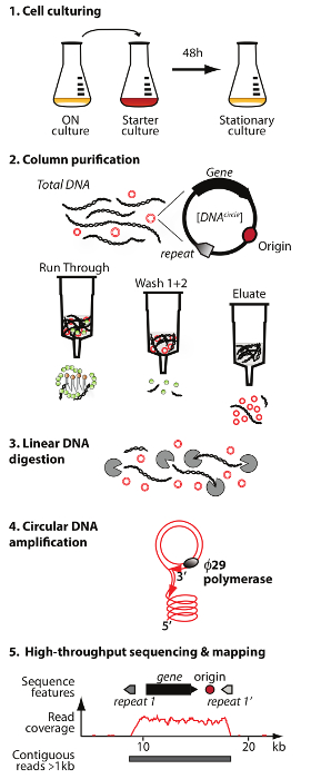 figure-results-1