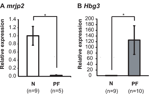 figure-results-3 mrjp2, Hbg3 gene expression bar chart; statistical comparison; experimental results.