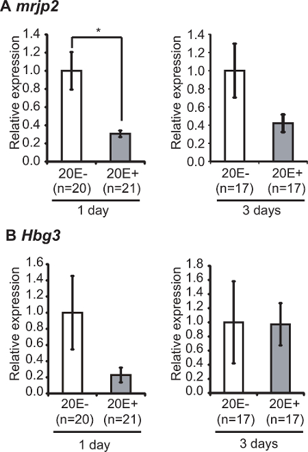 figure-results-5 Gene expression analysis, bar graph, mrjp2, Hbg3, relative expression, 20E treatment, 1-3 days.