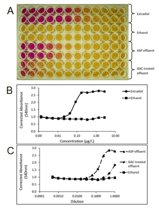 Microplate assay analysis; absorbance results; concentration, dilution graphs; effluent comparison.