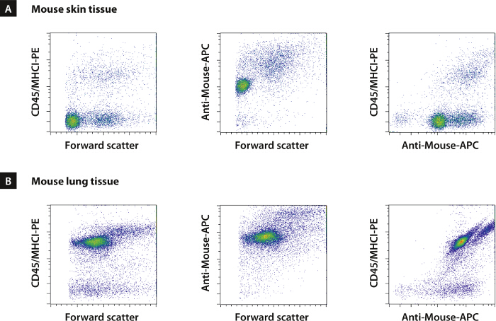 figure-results-1 Flow cytometry scatter plot charts for mouse skin and lung tissues; CD45/MHCI-PE, Anti-Mouse-APC.