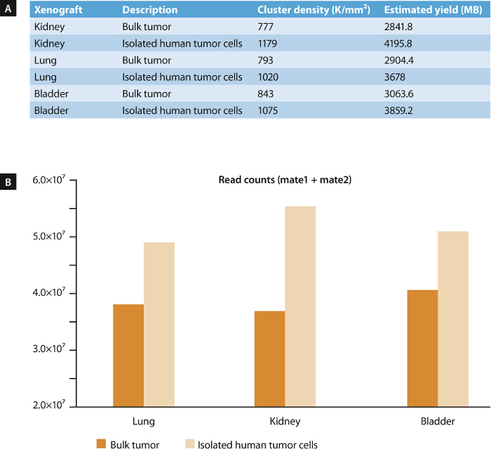 figure-results-5 Xenograft data analysis; table and bar chart of tumor cell clusters, density, and yield comparison.