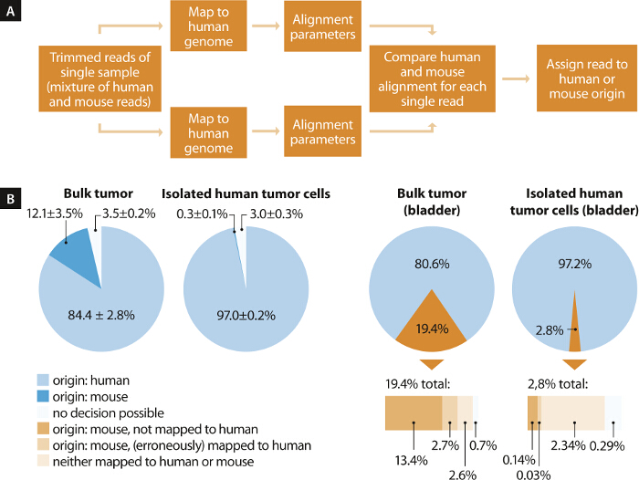 figure-results-6 Genome alignment workflow and pie charts; human-mouse read origin analysis; bioinformatics diagram.