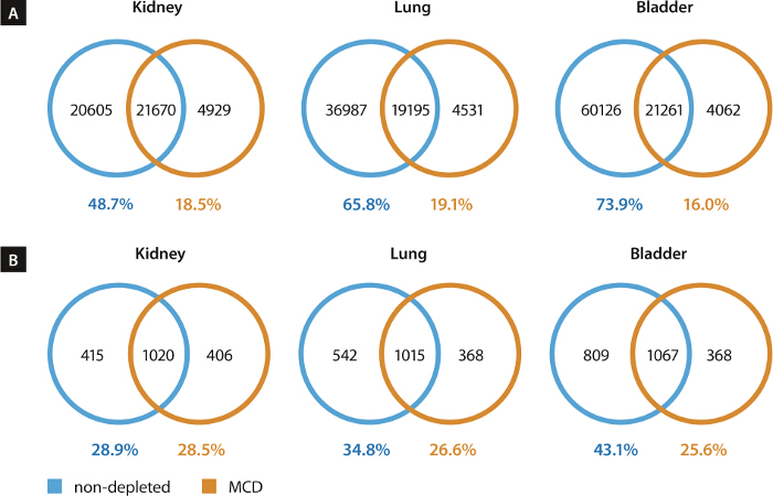 figure-results-7 Venn diagrams comparing kidney, lung, bladder proteins; non-depleted vs. MCD, showing percentages.