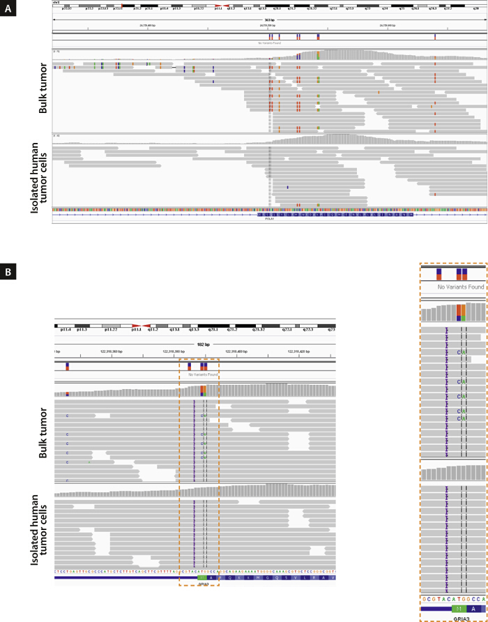 figure-results-8 Genomic sequencing diagram, human tumor cells vs bulk tumor, variant analysis, comparative genomics.