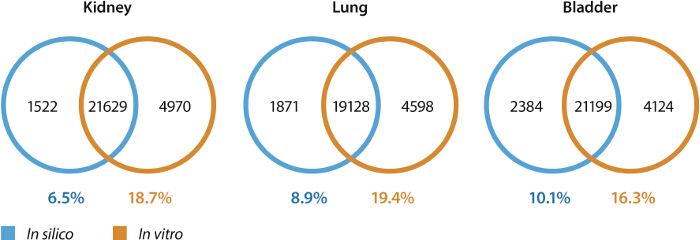 figure-results-9 Venn diagram comparing in silico vs. in vitro data for kidney, lung, bladder studies.