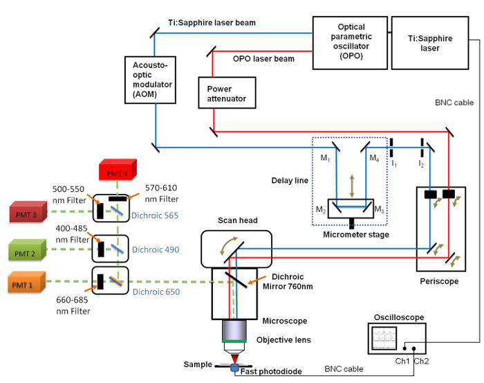 figure-protocol-1