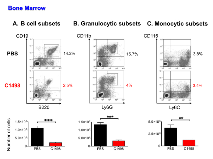 figure-results-5 Bone marrow cell subsets flow cytometry analysis; diagrams showing B, granulocytic, monocytic data.
