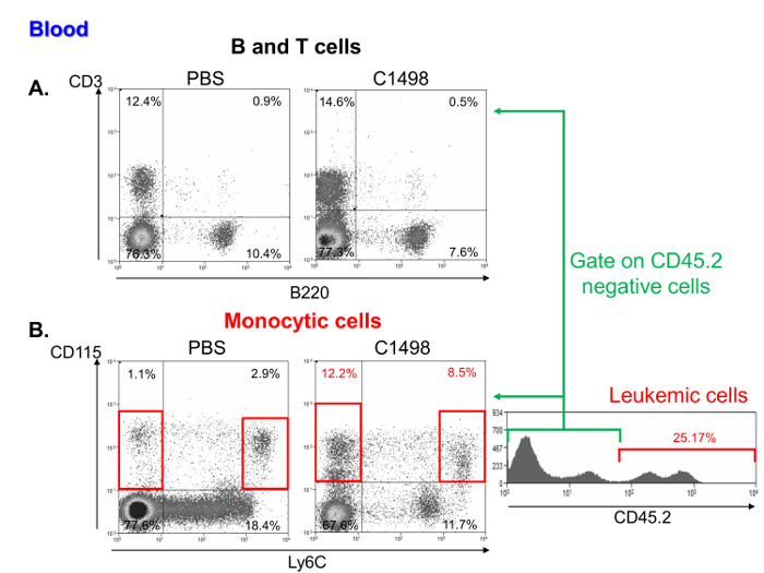 figure-results-6 Flow cytometry analysis of B, T, and monocytic cells; scatter plots show CD45.2 gating results.