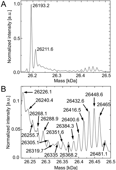 Mass spectrometry graph showing normalized intensity vs. mass (kDa), protein analysis results.