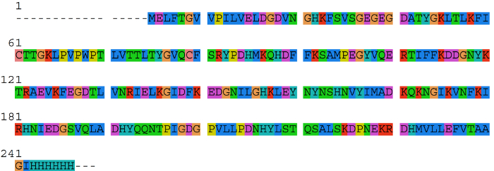 Protein sequence alignment diagram, amino acid conservation, bioinformatics analysis.