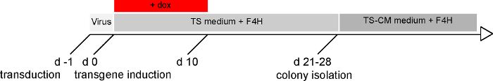 figure-results-1