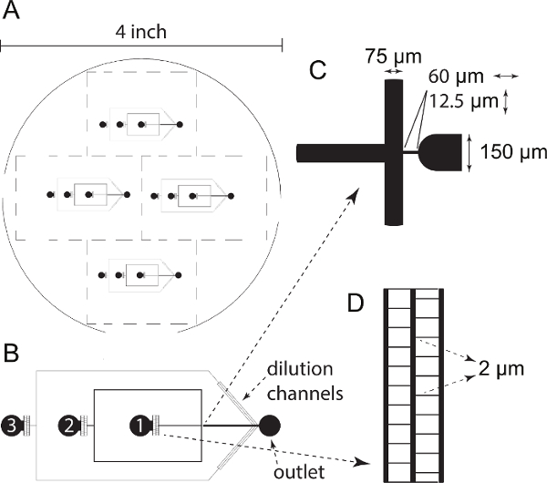 Microfluidic chip layout, design schematic with dilution channels, intersection detail, channel width.
