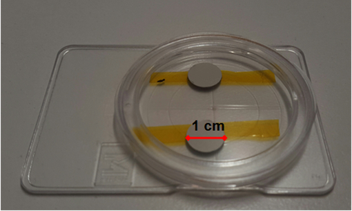 Static equilibrium experiment diagram; force balance on a disc; applied physics concept.