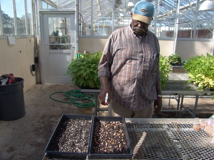 Greenhouse plant growth experiment setup; seed trays examined for germination and soil moisture.