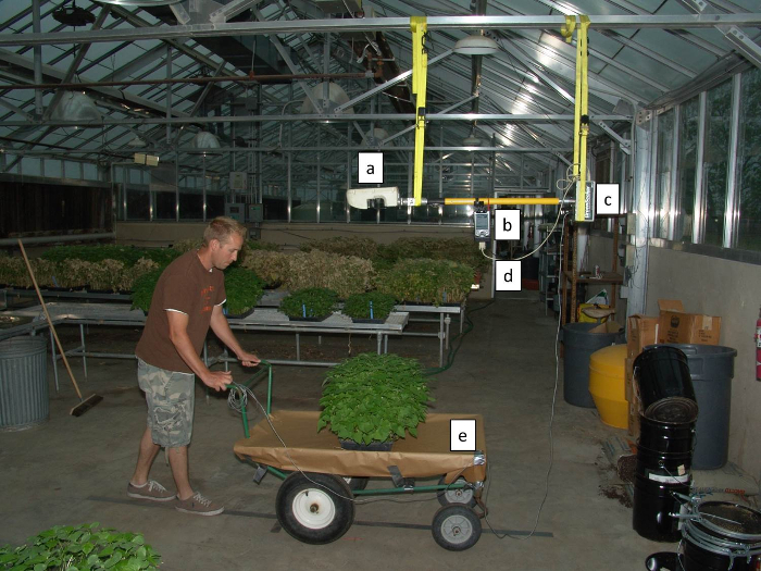 Hydroponics system setup in greenhouse; plant growth research, automated watering, and sensor calibration.