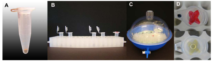 figure-results-1 Microcentrifuge tube, PCR tubes, rotator for DNA extraction, chromatography sample preparation.