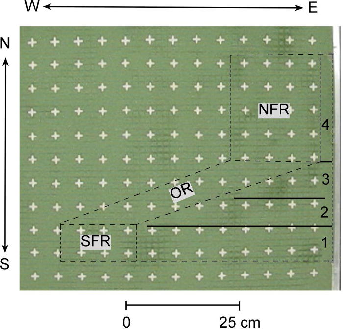 figure-protocol-6 Wind flow pattern diagram with labeled regions; static equilibrium study on grid, directional analysis.