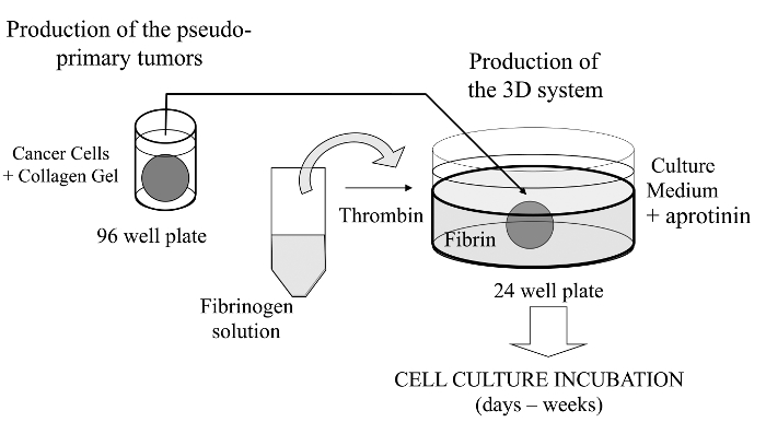 figure-introduction-1