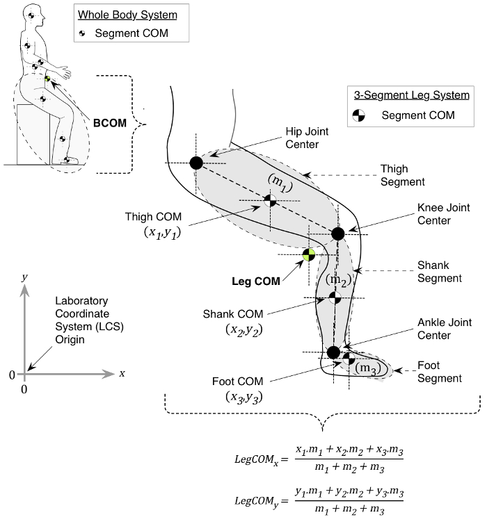 figure-introduction-4 Biomechanics diagram of leg system and COM calculation; illustrates equations for LegCOM (2D model).