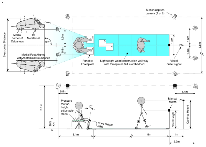 Gait analysis diagram; motion capture setup, forceplates, and visual signal for biomechanical study.