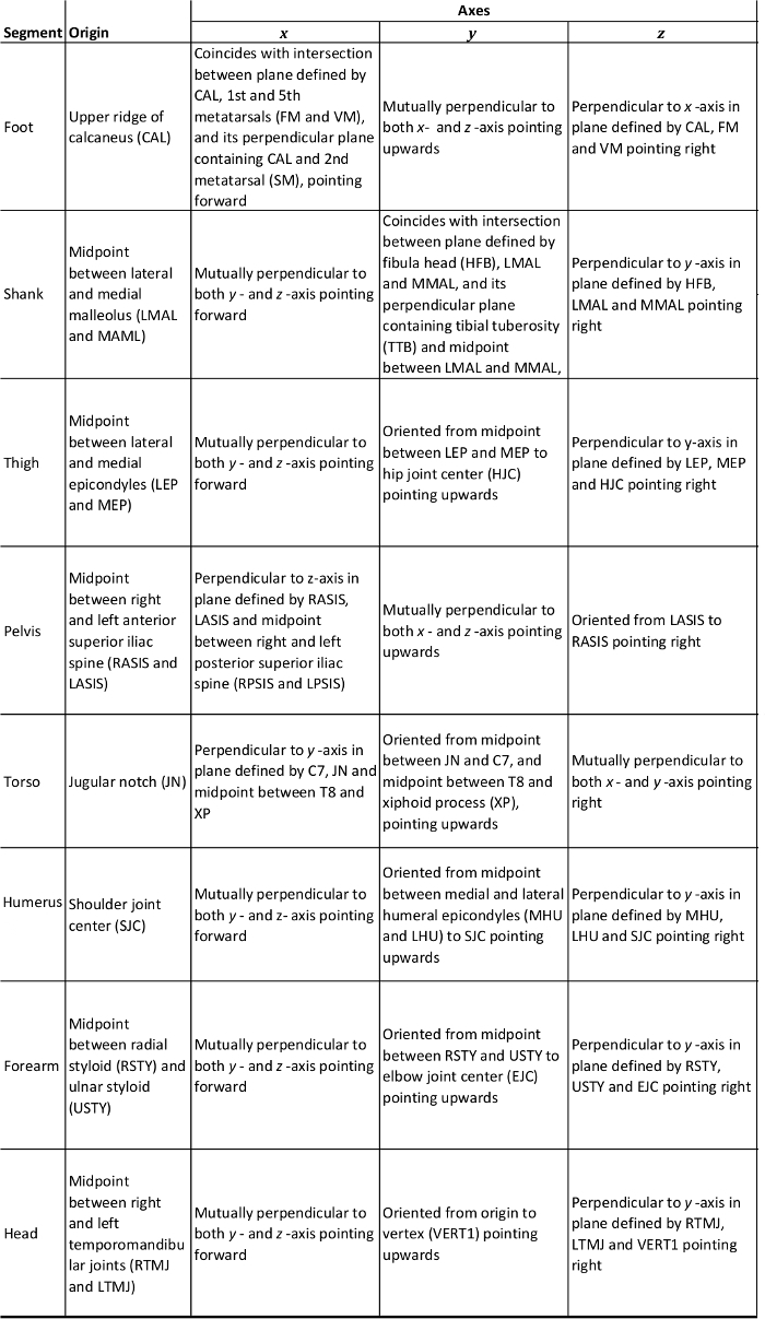 Segment axes origin and orientation table; biomechanics analysis.