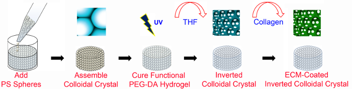 figure-protocol-1