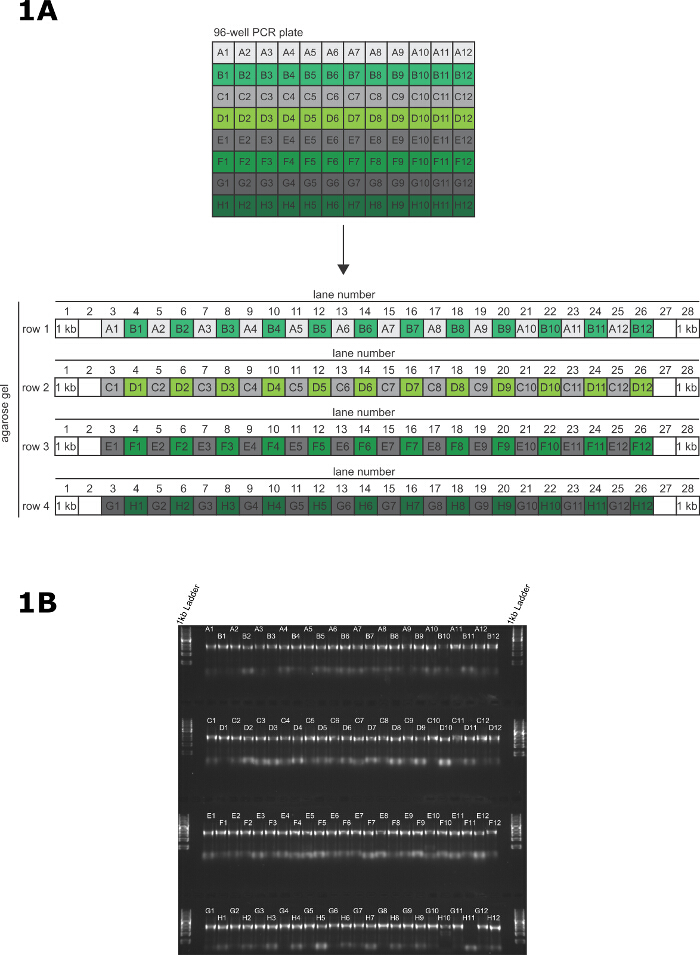 figure-results-1