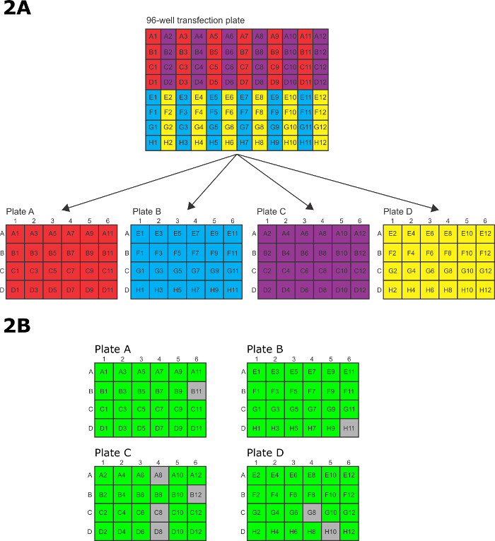 figure-results-2