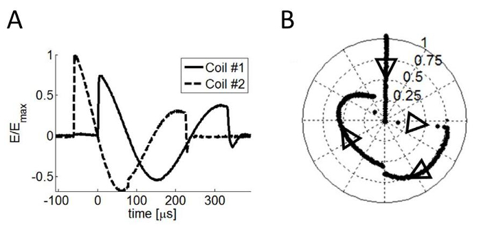 Magnetic coil response over time; E/Emax vs. time graph and polar plot; electromagnetism study.