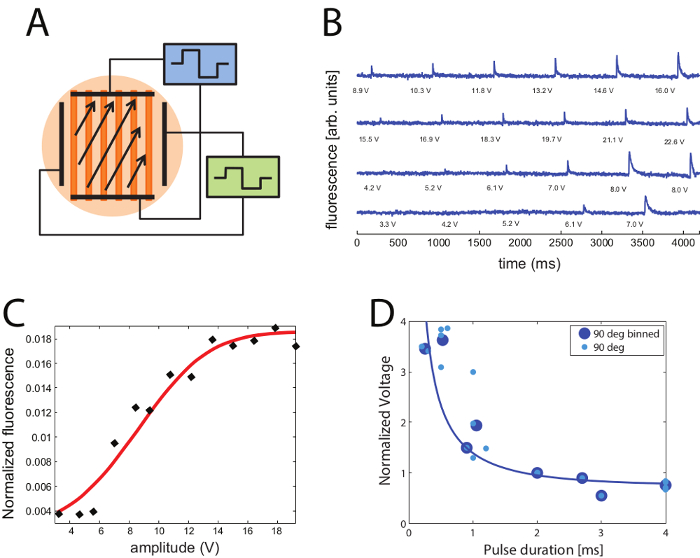 Optical excitation diagram, fluorescence graphs, amplitude vs. fluorescence chart, pulse-voltage plot.