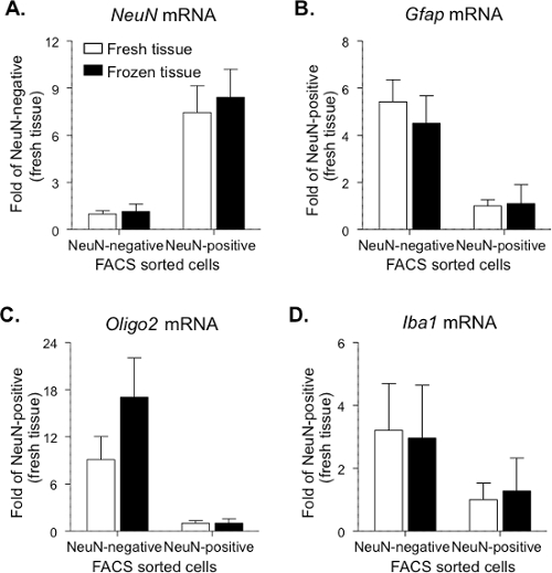 figure-results-3 NeuN, Gfap, Oligo2, Iba1 mRNA expression; bar graphs; FACS sorted cells; fresh vs frozen tissue.