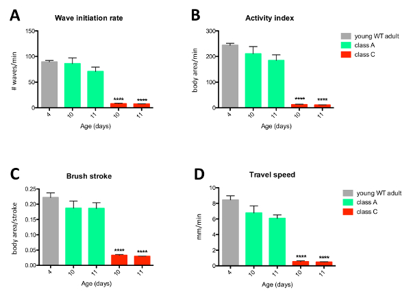 figure-results-3 Wave initiation, activity index, brush stroke, travel speed bar graphs; insect aging; performance analysis.