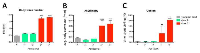 figure-results-4 Body movement analysis; bar chart; wave number, asymmetry, curling vs. age in classes A, C.