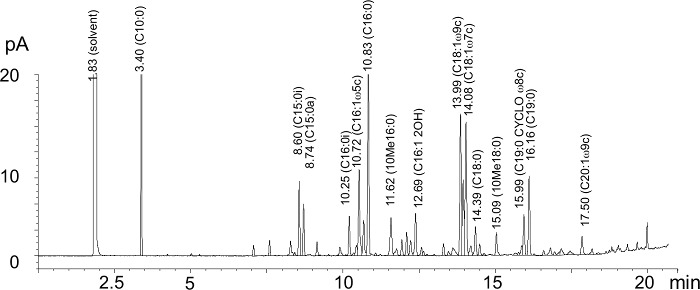 Gas chromatography mass spectrometry graph, lipid analysis, retention time, peak identification.