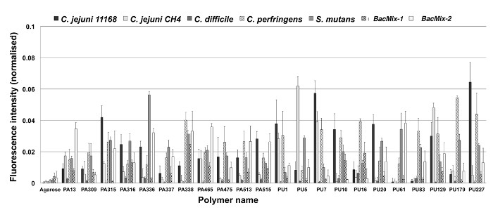 figure-results-2 Fluorescence intensity graph showing polymer effects on different bacterial strains.