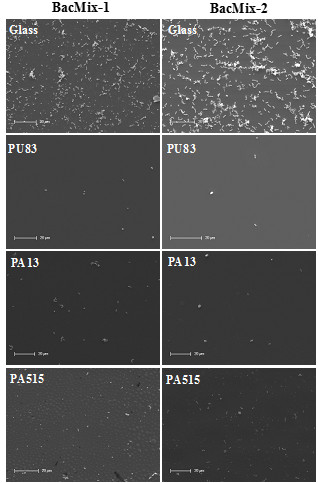 figure-results-4 Bacterial adhesion analysis; multiple substrates, electron microscopy images, comparative study.