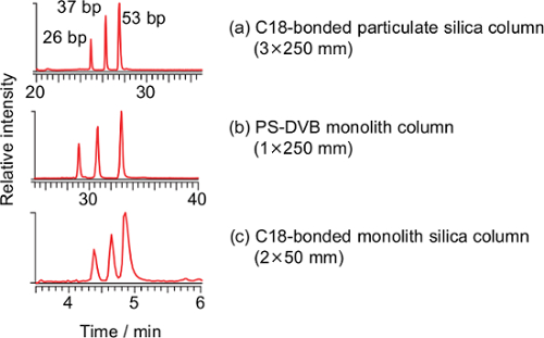 Chromatography graph; C18, PS-DVB columns, relative intensity vs. time, DNA separation results.